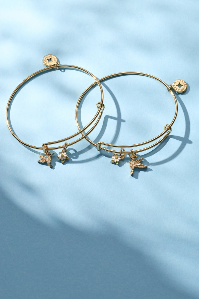 'Birds of a Feather' Hummingbird Charm Bangle, Set of 2
