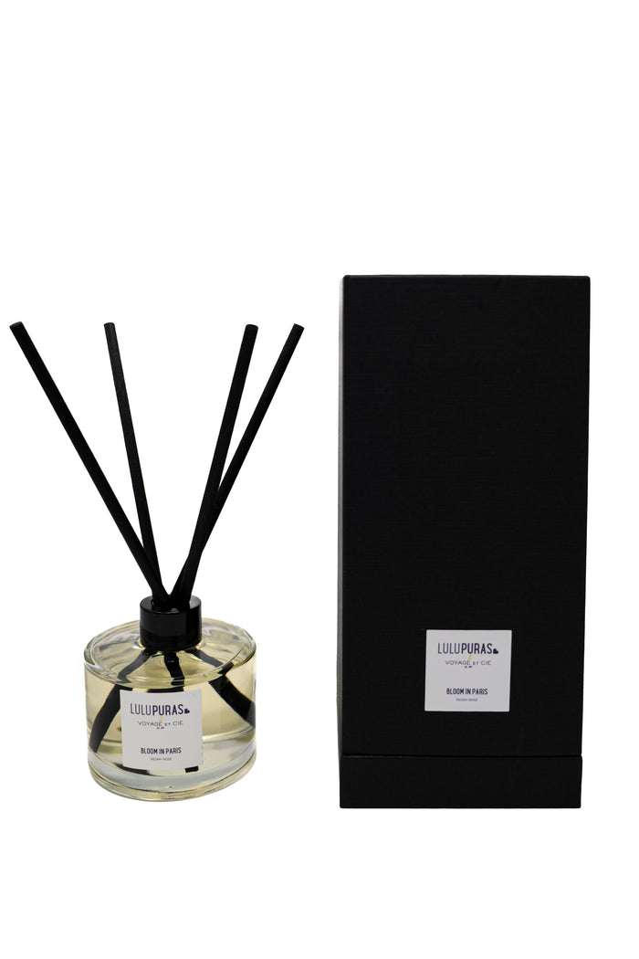 BLOOM IN PARIS 8OZ DIFFUSER