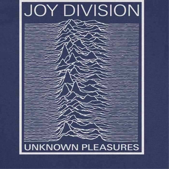 Joy Division Unknown Pleasures Frame T-Shirt