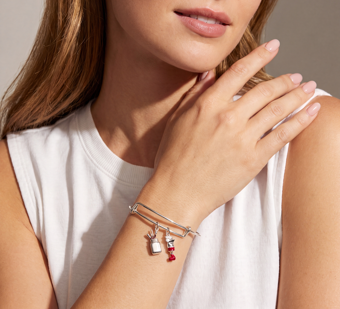 alex-and-ani_painters-duo-charm-bangle_260702_c7d844.png