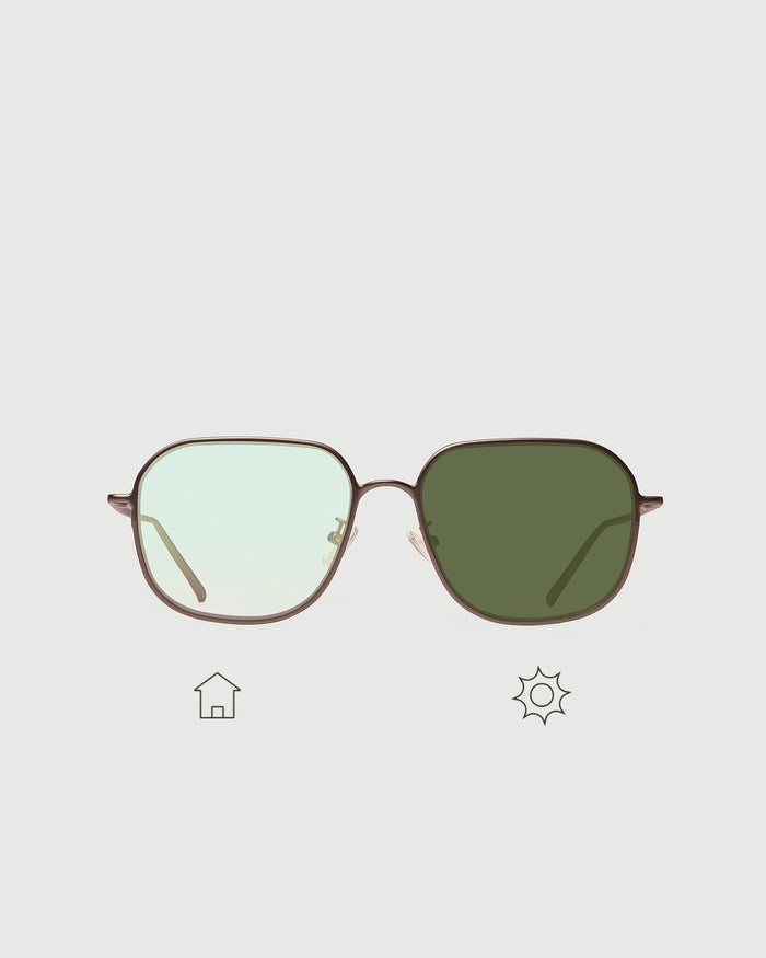 Gecko Adaptive / Brown