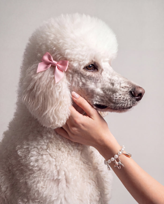 Posh Poodle Pearl Charm Bracelet