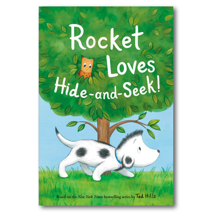 Rocket Loves Hide and Seek - Library of Congress Shop