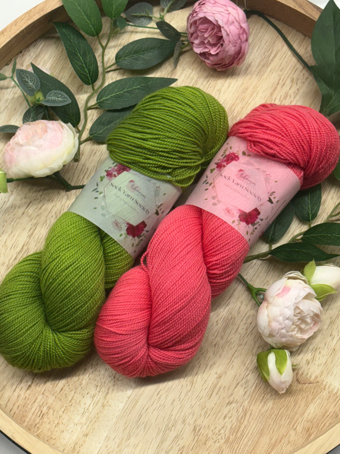AYC 2 Skein Shawl Kits