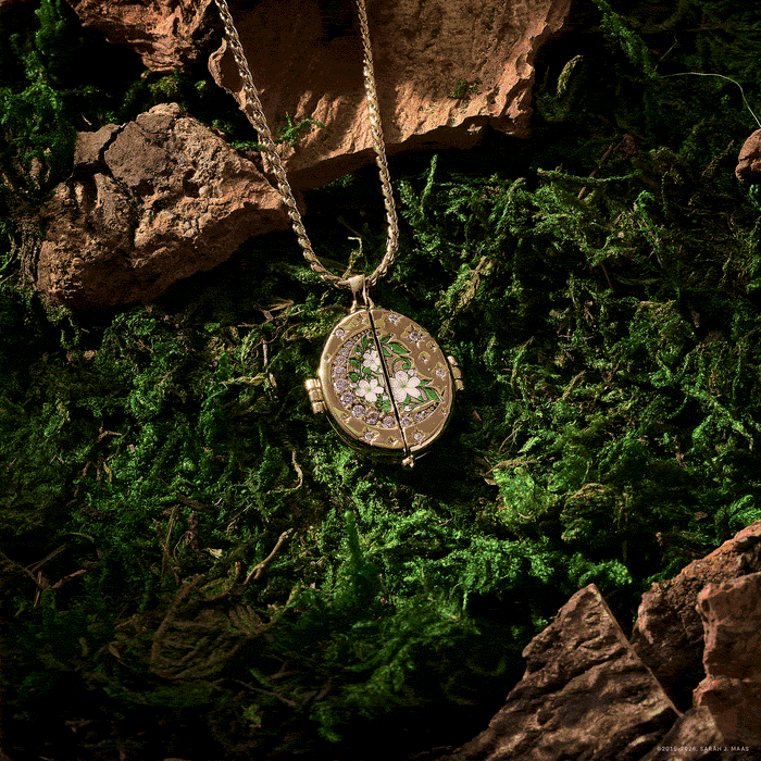 A Court of Thorns and Roses "There You Are" Locket Necklace - Silver