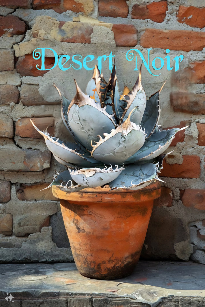 Agave titanota, Chalk agave, Asparagaceae