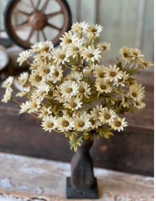 Ashdale Daisy Bush (3 colors)