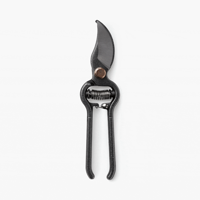 BareBones Pruner