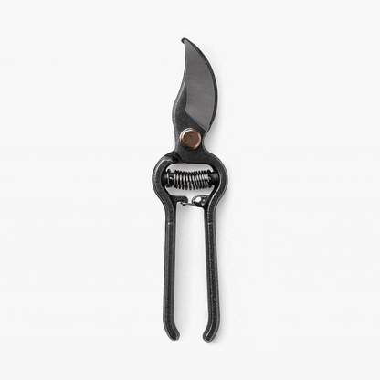 BareBones Pruner