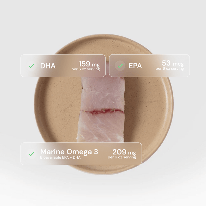 Barramundi - SEATOPIA