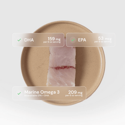 Barramundi - SEATOPIA