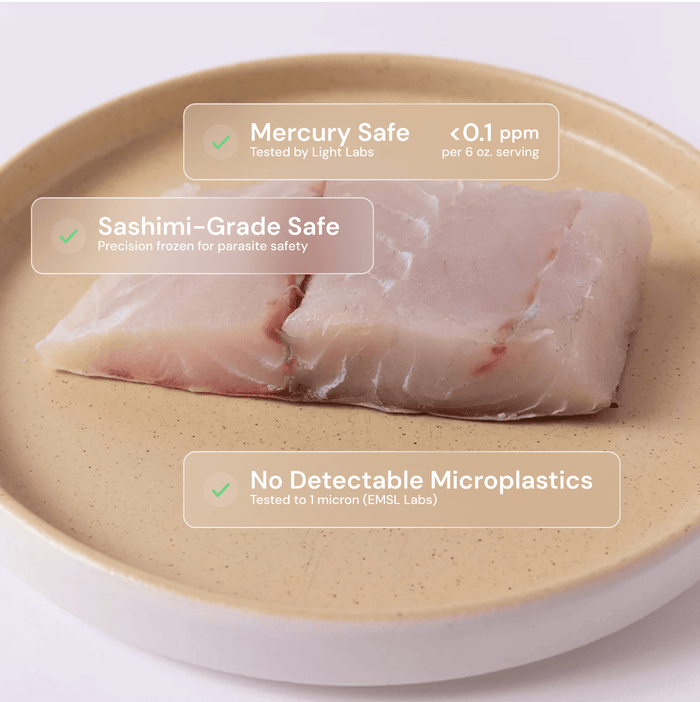 Barramundi - SEATOPIA