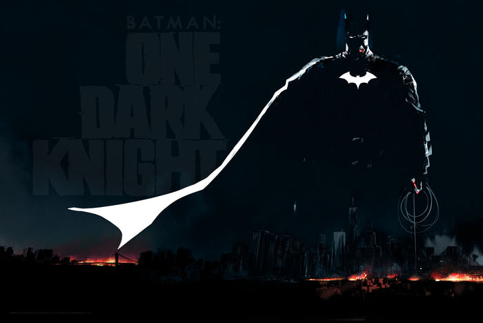 Batman: One Dark Knight Poster