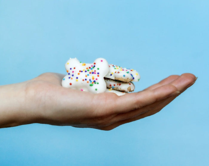 Birthday Sprinkled Endless Bones - Set of 2