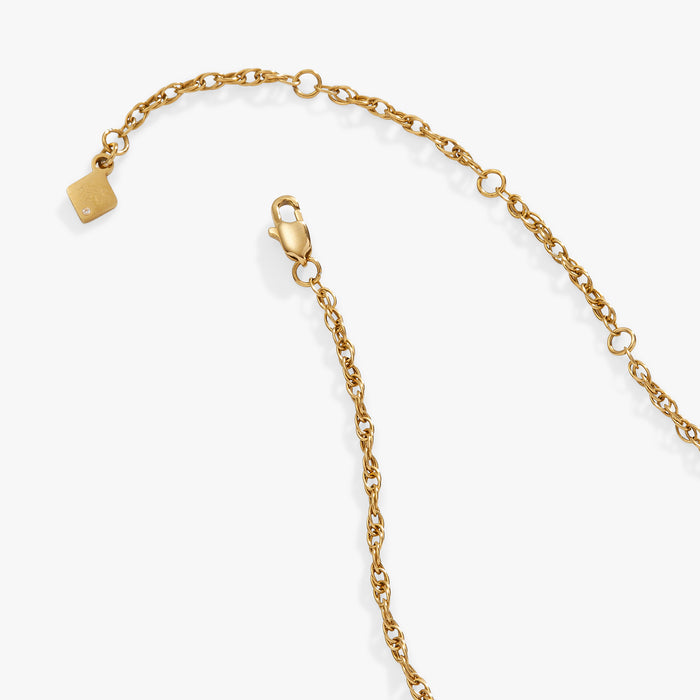Stainless Steel Gold