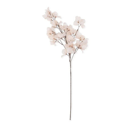 BOUGAINVILLEA BUSH STEM