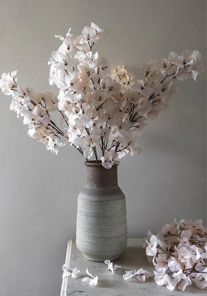 BOUGAINVILLEA BUSH STEM