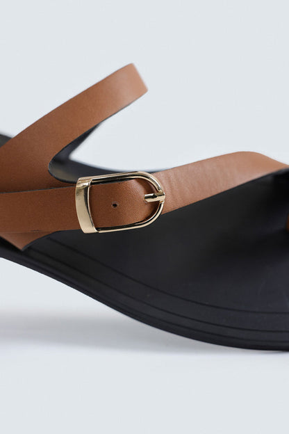 Chocolate Brown