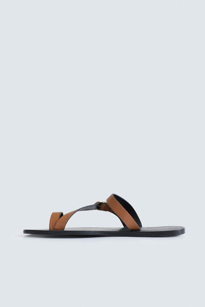 Chocolate Brown
