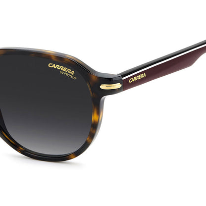 CARRERA 376/S