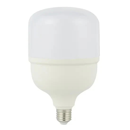 CTI Lighting 20 W LED BULB- CTIT8020W - T80-6500K-E27 ebuystt