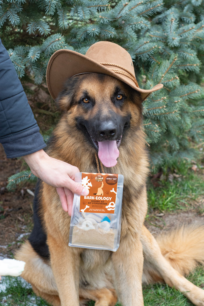 Dinosaur Bark-eology Kit for Dogs