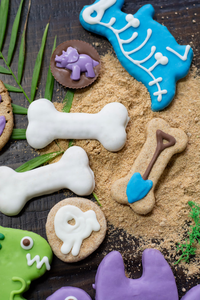 Dinosaur Bark-eology Kit for Dogs