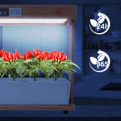 Duronic Hydroponic Growing System with a bamboo frame and LED grow lights successfully growing vibrant red chili peppers.