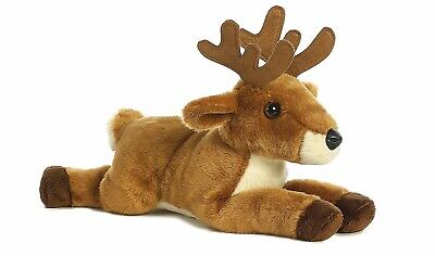 Fawn and Deer