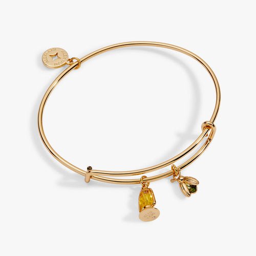 Firefly Lantern Charm Bangle