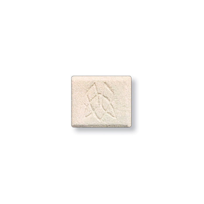 Flicker Iridescent Multichrome Eyeshadow