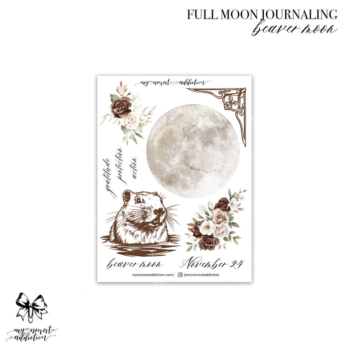 Beaver Moon / Premium Matte