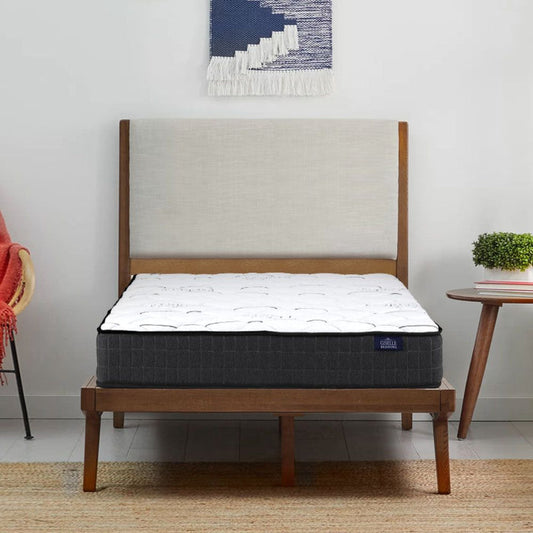 Giselle Bedding 16cm Mattress Medium Firm Single -Home Living Store - -