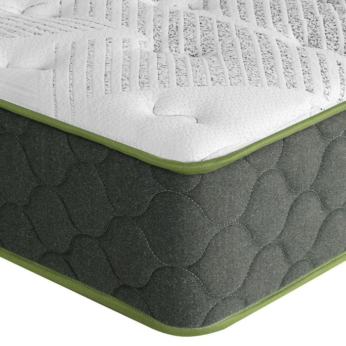 Giselle Bedding 25cm Mattress Green Tea Foam Single -Home Living Store - -