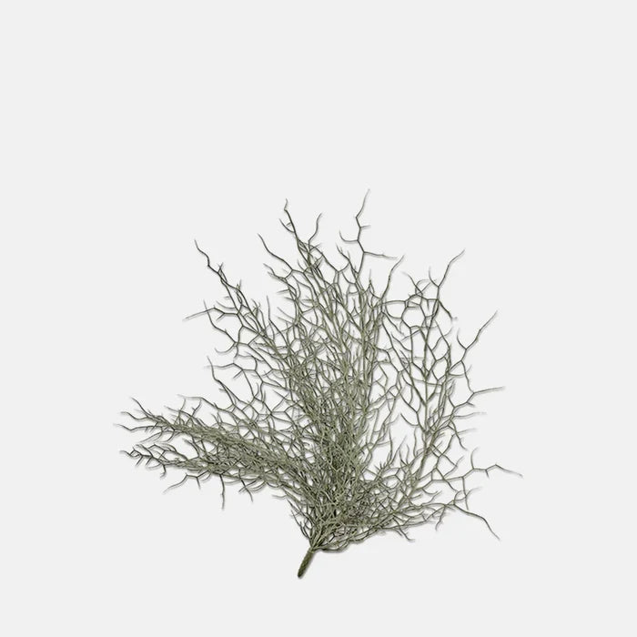 GRASS BUSH STEM