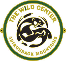 Hiking Medallion