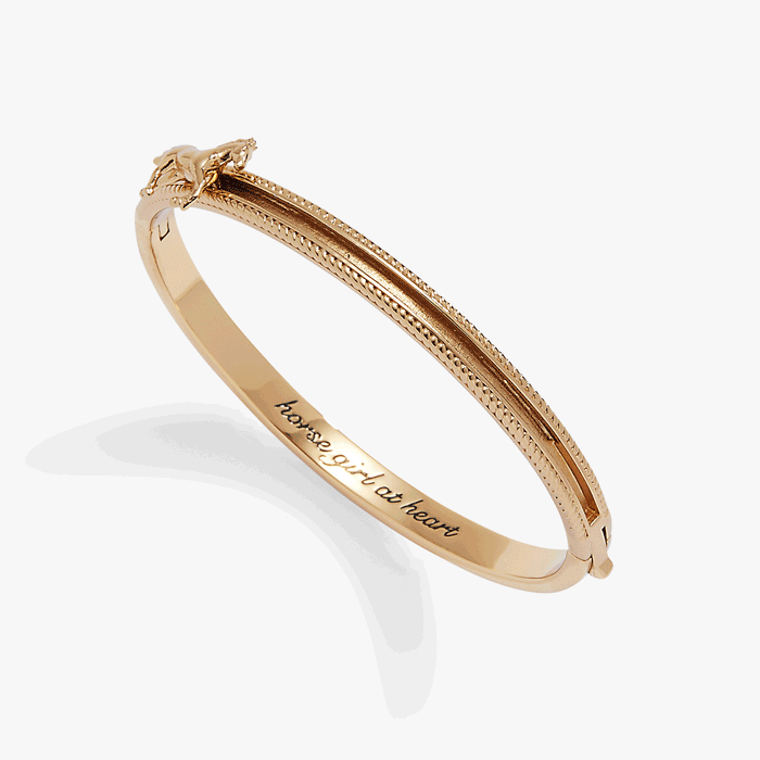 horse-girl-fidget-bangle-4-AO260439FSG