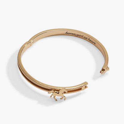 horse-girl-fidget-bangle-3-AO260439FSG