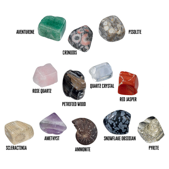 I Dig It! Rocks & Fossils - 24 Mini Excavation Gift Set STEM Thames & Kosmos