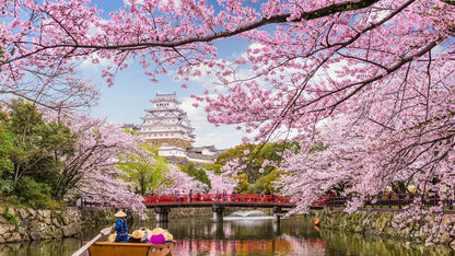 Japanese Cherry Blossom on a River Paint By Numbers Kit