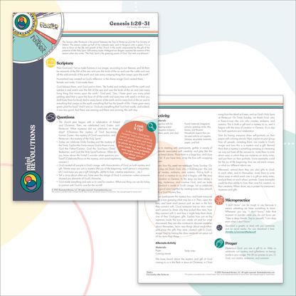 Mini Revolutions Curriculum: June 2023
