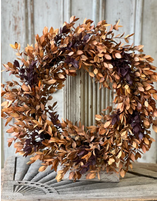Ombre Woods Collection