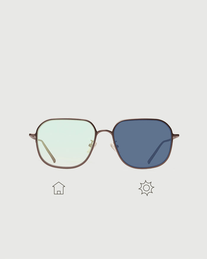 Robin Adaptive / Brown
