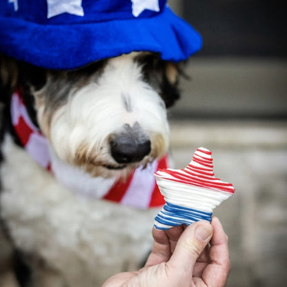 Patriotic Pawty Box (7pk)
