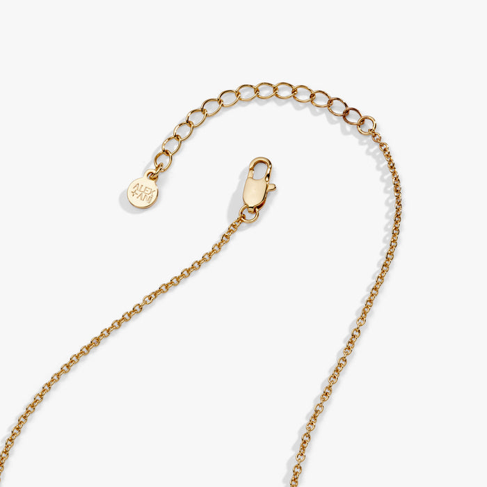 Pet Mom Nameplate Necklace