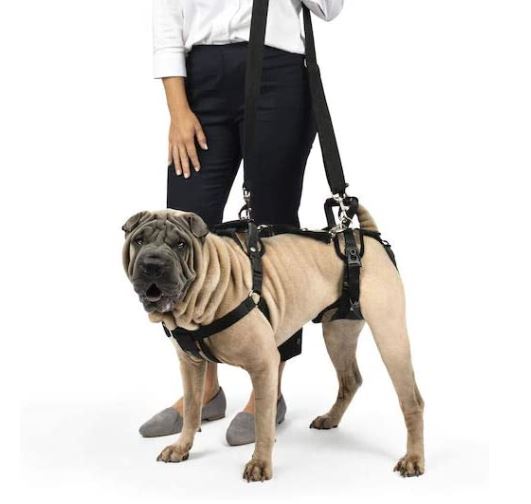 PetSafe CareLift Support Harness Medium