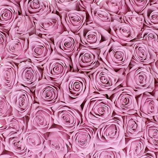 Purple Roses