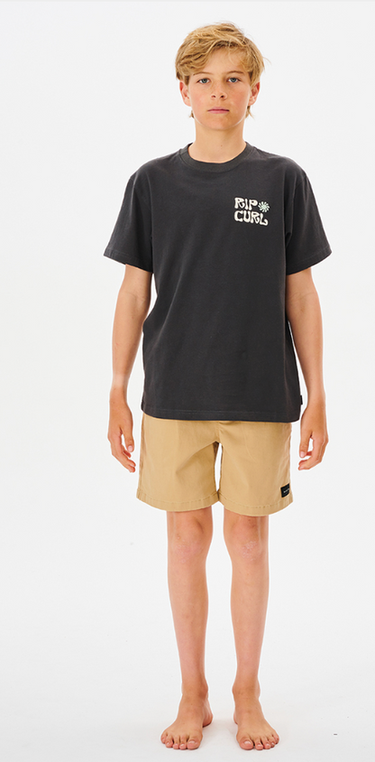 Rip Curl Salt Water Culture Organic Matters Tee Boy