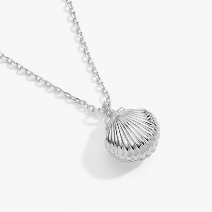 Salt + Sea 'Seashells Are Love Letters In The Sand' Seashell Locket Pendant