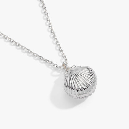 Salt + Sea 'Seashells Are Love Letters In The Sand' Seashell Locket Pendant